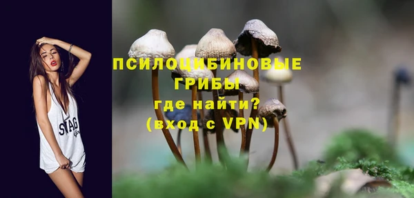 мяу мяу мука Карпинск