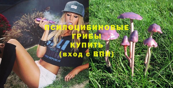 шишки Карталы