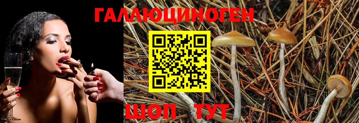 Псилоцибиновые грибы GOLDEN TEACHER Пермь