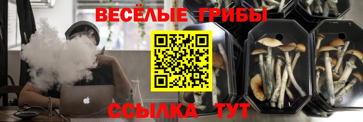 Мефедрон кристаллы  МДМА  МАРИХУАНА  ТГК  Вход с VPN  Кокаин  ГАШ  МЕФ  Пермь  Гашиш  Конопля 